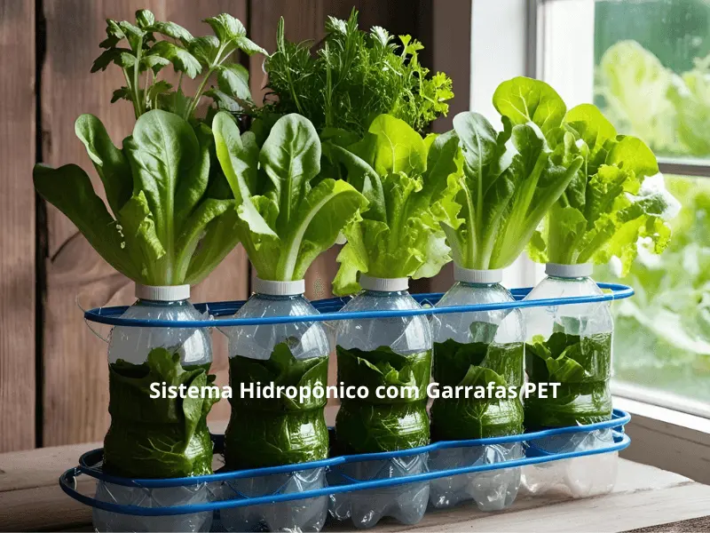 "Sistema hidropônico caseiro com garrafas PET cultivando alface"
