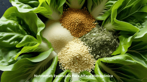 Alface Hidropônica em Garrafa PET: 10 Nutrientes Essenciais